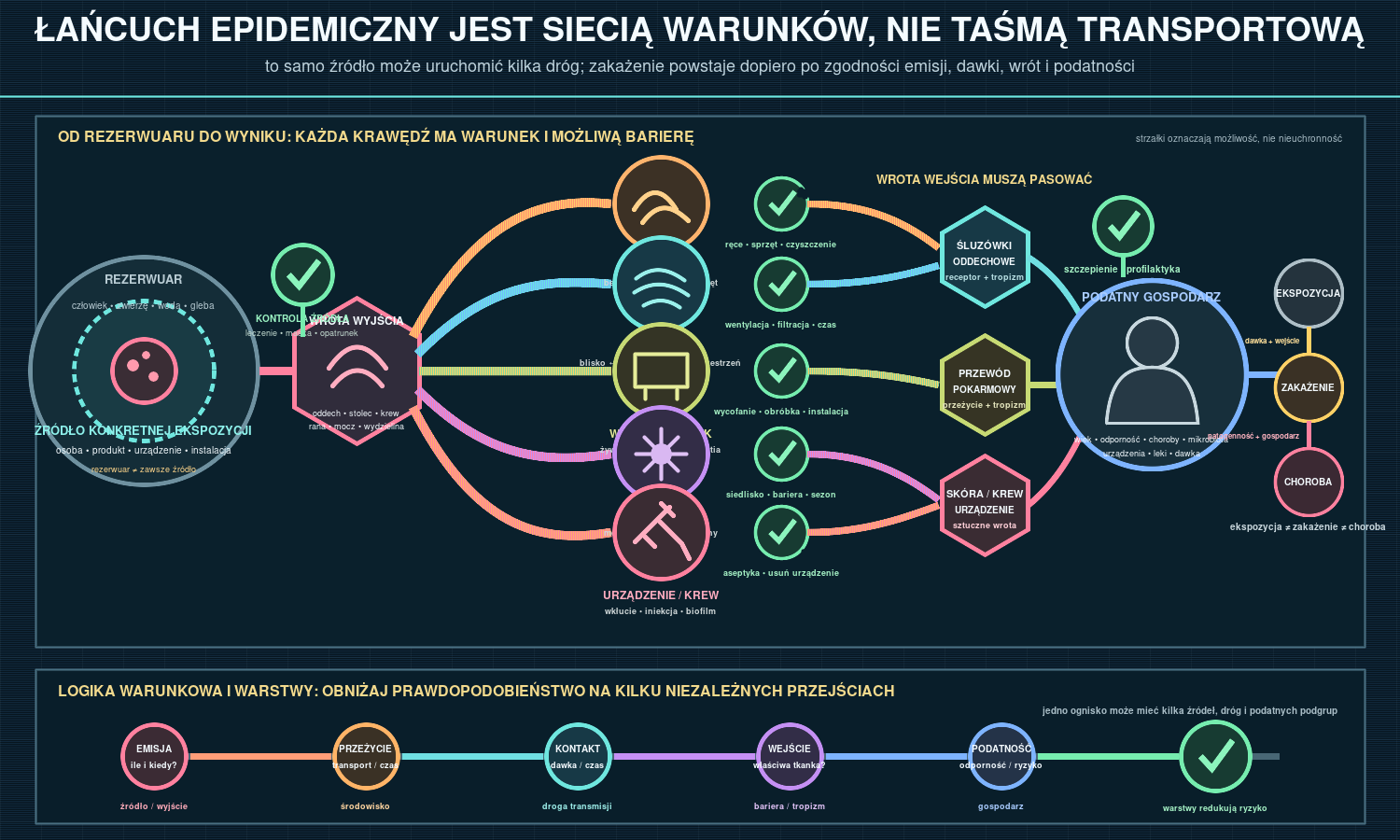 Łańcuch epidemiczny i drogi transmisji