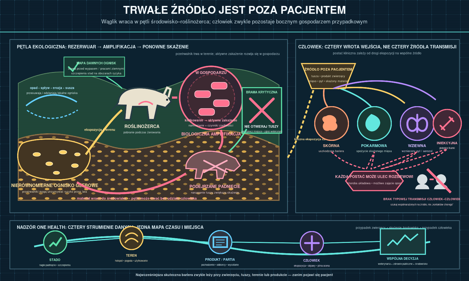 Wąglik: przetrwalniki, droga narażenia i ciężkość choroby bez zaraźliwości